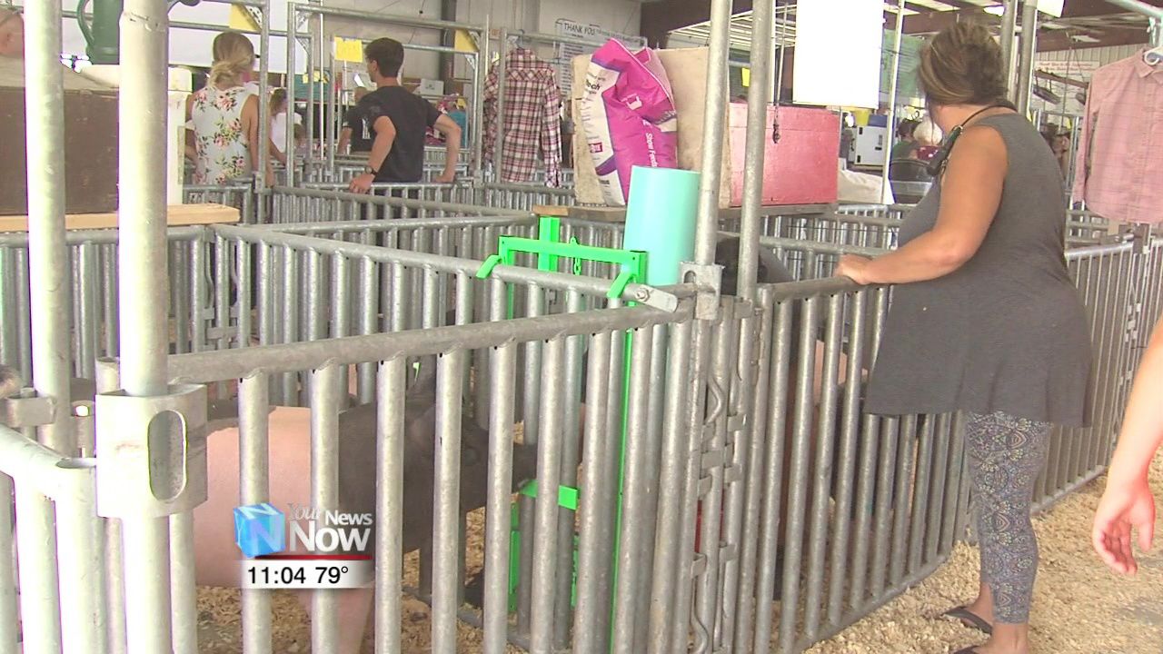 Auglaize County Fair opens its gates for 167th year.jpg